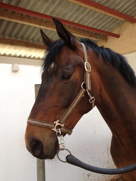 Den ene eller den anden??