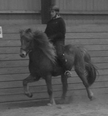 Hvordan har folk det med...