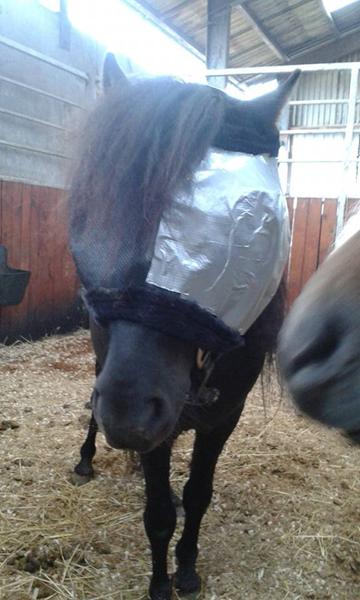 Øjensygdom/Tumer!!!!