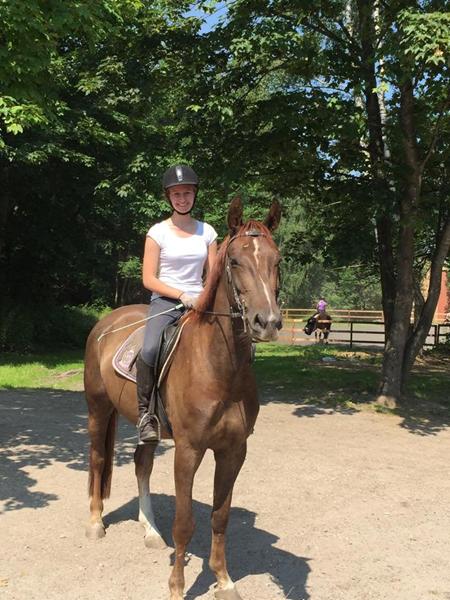 Farve til denne specieltfarvede hest?