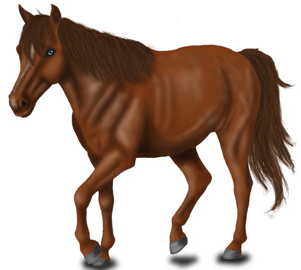 Kritik til tegning til sort perle søges!