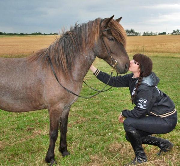 Adfærd ved jordtræning