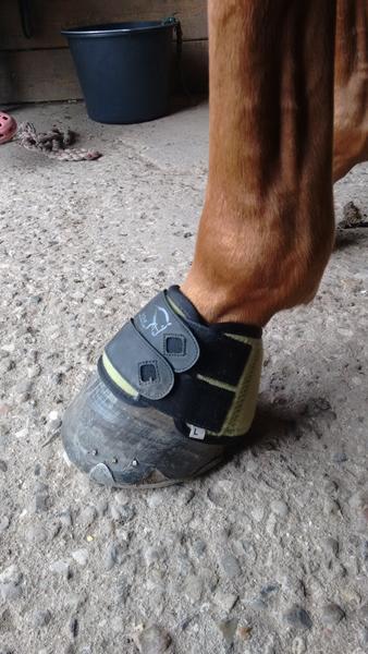 Klokker str XL eller XXL?