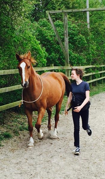 Hvor kan man søge om part?