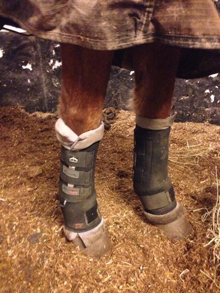 Veredus magnetisme staldgamacher? Hjælp