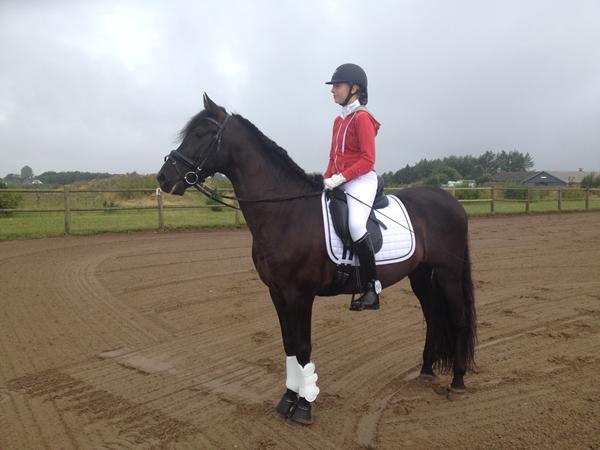 Rosenknopper eller hingstefletning?