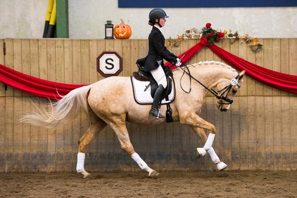 Dennis Holst Undervisning - nogen der er på?