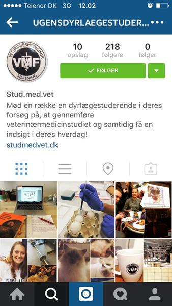 Vil du vide mere om dyrlægestudiet?