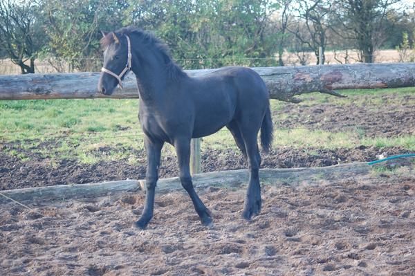 Fold eller boks første dag ???