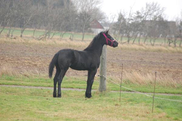 Hvad skal man huske at spøger eller ligge mærke til 