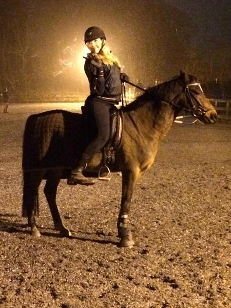 Disharmoni - Hest og rytter