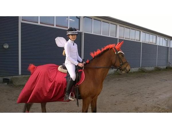 Fastelavn stævne :-)