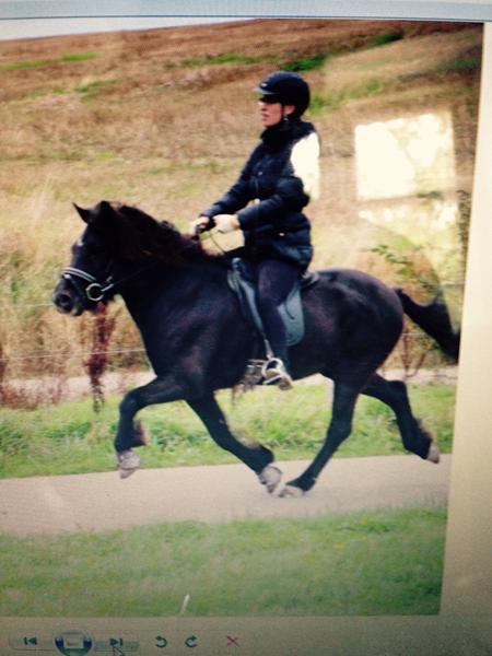 Mysterium skade/ løst