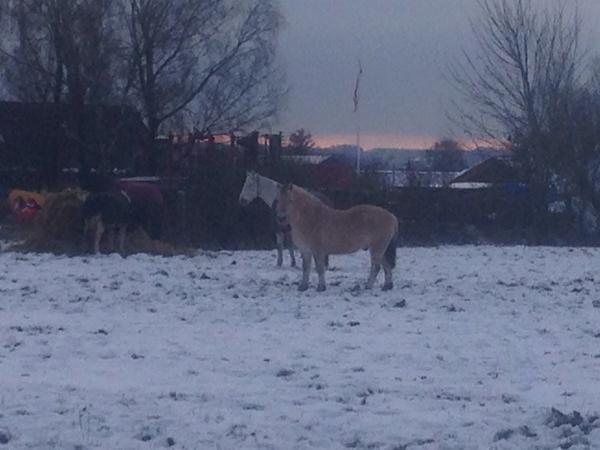 Grime hjælp søges!!