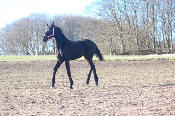 Anbefaling af klipper :)