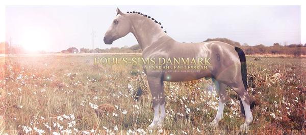 Equus-Sims Danmark Update