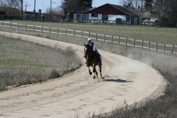 Galop og travløb 10. april 2016 HHR åbent hus