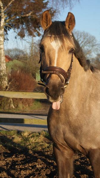 Part, eller ikke part? 