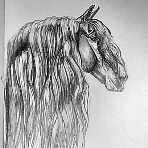 Prøver nyt tegnegrej af :p