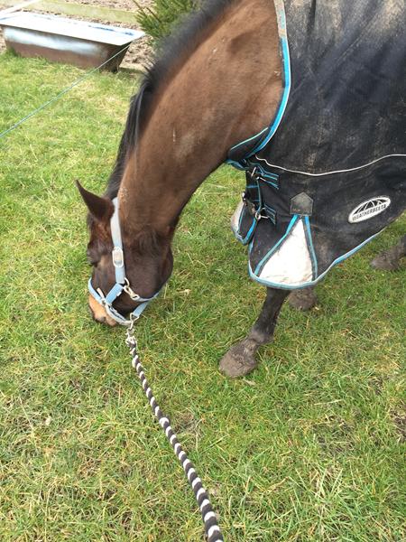 Dækner.. Hvornår og hvordan?