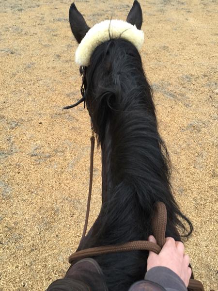 Udkørende tilrider nordsjælland???