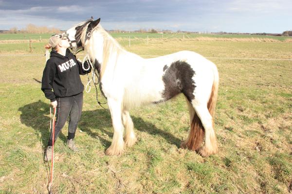 Meget lyse billeder,what to do