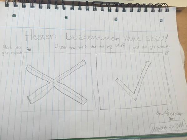 Eksamens opgave - om hest - hjælp