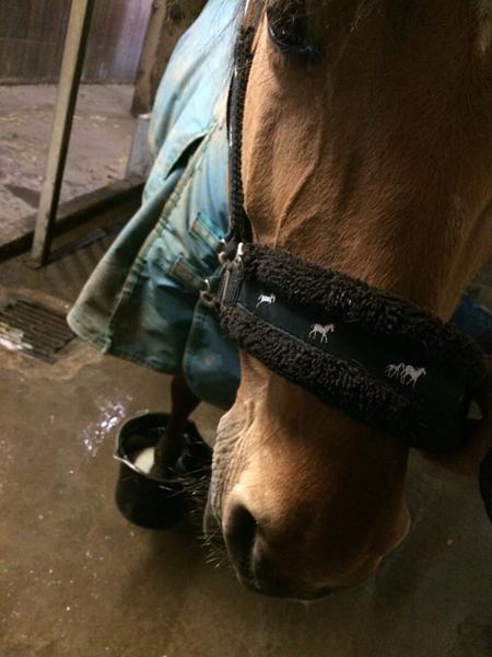 Knusning i hoven? :/