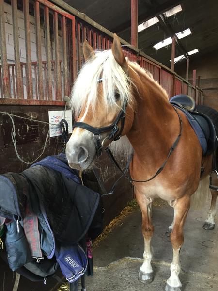 Bevarelse af pandelok