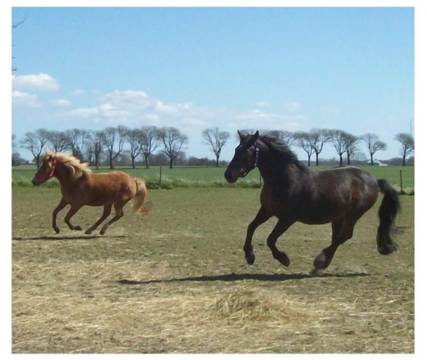Drøn på den gamle!