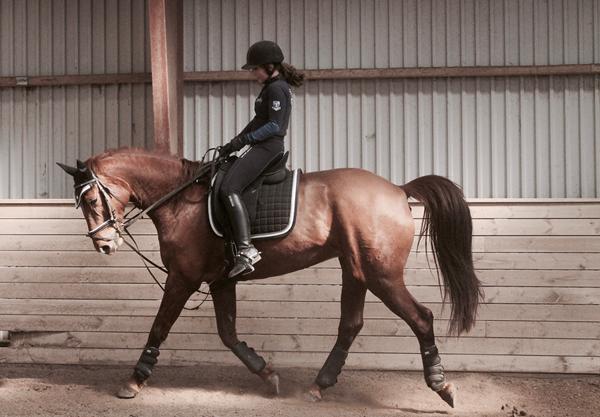 Meget stiv i højre volte --> hestemassør/kiropraktor? 