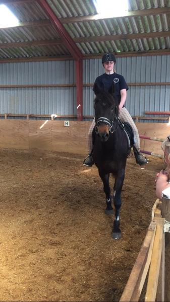 Fodreplan til tynd hest!