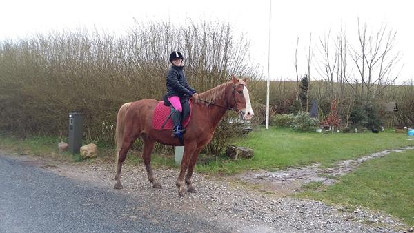 efterlysning eftet gammel ejer