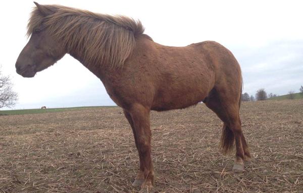 Underlag - Hvilken størrelse?