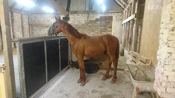 Forebyggende/gode forslag ift. Afhængighed :-) 