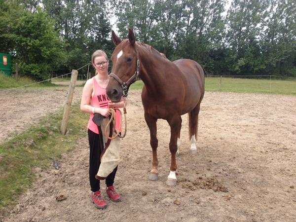 Støvsugerholdning, hvad så?