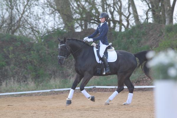 HJÆLP! Nye dressurstøvler, hvilke er gode?