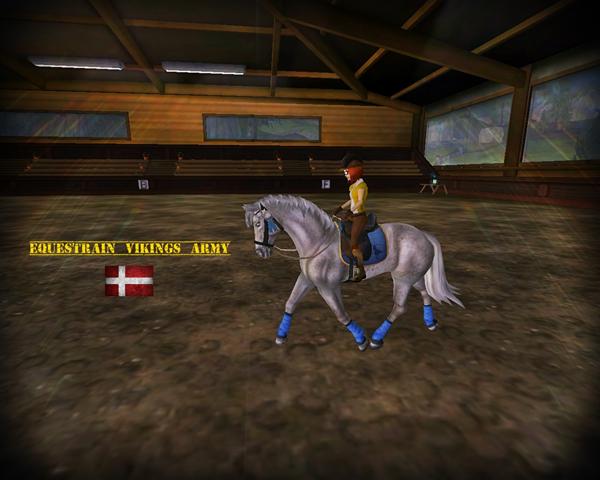 Equestrain Vikings Army søger medlemmer :)
