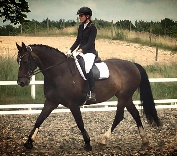 Anbefal en stævneridebuks