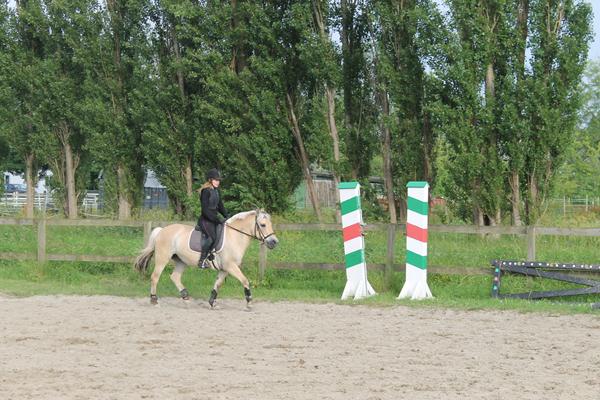 Ellers rolig pony, løber i springning. 