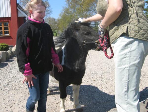 Ved i hvor min gamle pony er?