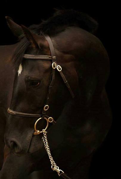 Low Key fotos - lidt beskedent pral