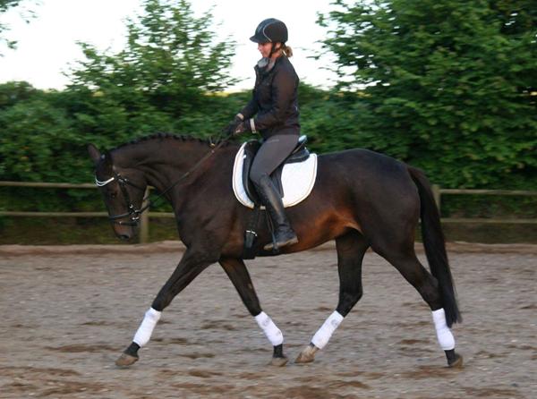 Hvide bandager til hvilket ubdrrlag? ??