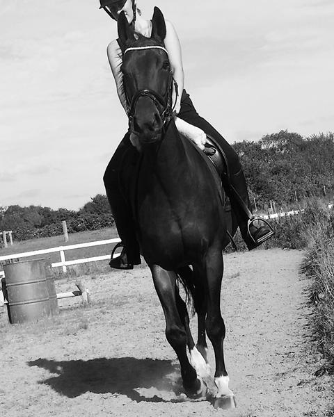 *HJÆLP stiv hest i højre bagben*