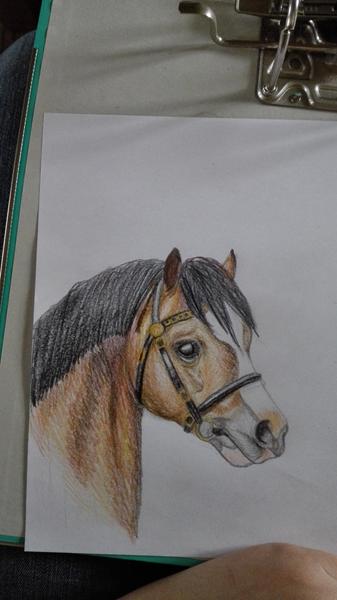 tegninger, betaling?