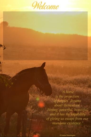 Første hjemmelavede layout :D