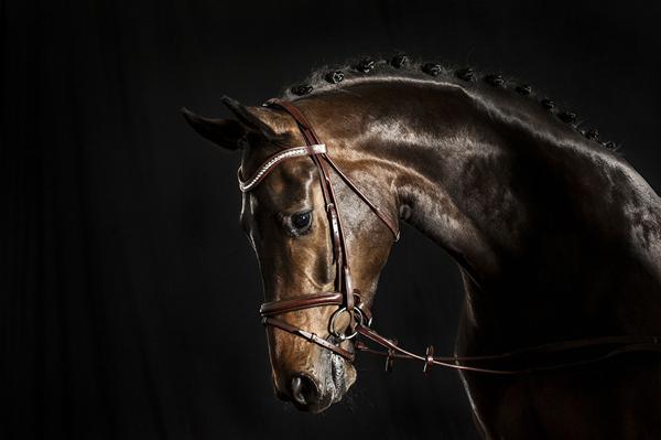 HJÆLP TIL FOTOGRAFERING MM