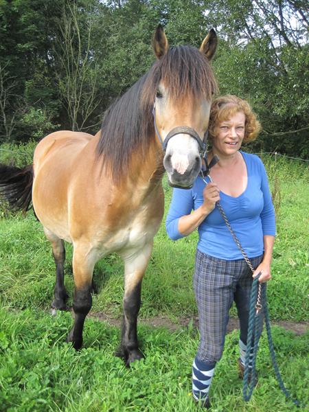 søges til udlån , lille hest /stor pony