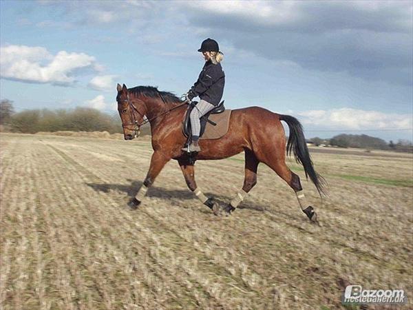 Hvor er hun nu!? New Bell/Bell