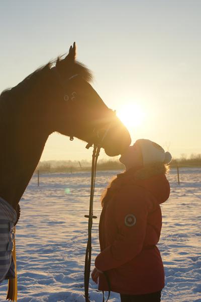 Dejlige billeder i sneen 
